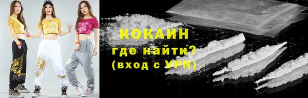мет Дмитров