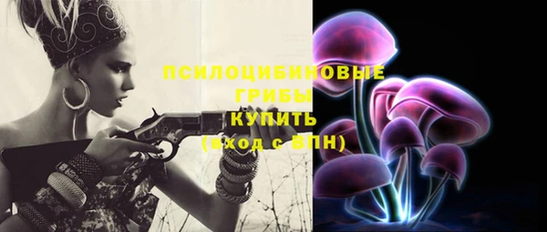 хмурый Дмитриев
